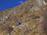 Motoalpinismo in Val Varrone - 48